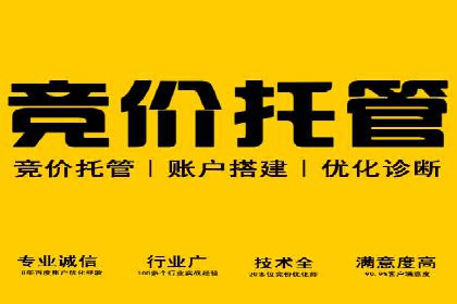 案例剖析：百度SEO推广公司如何助力企业飞速发展